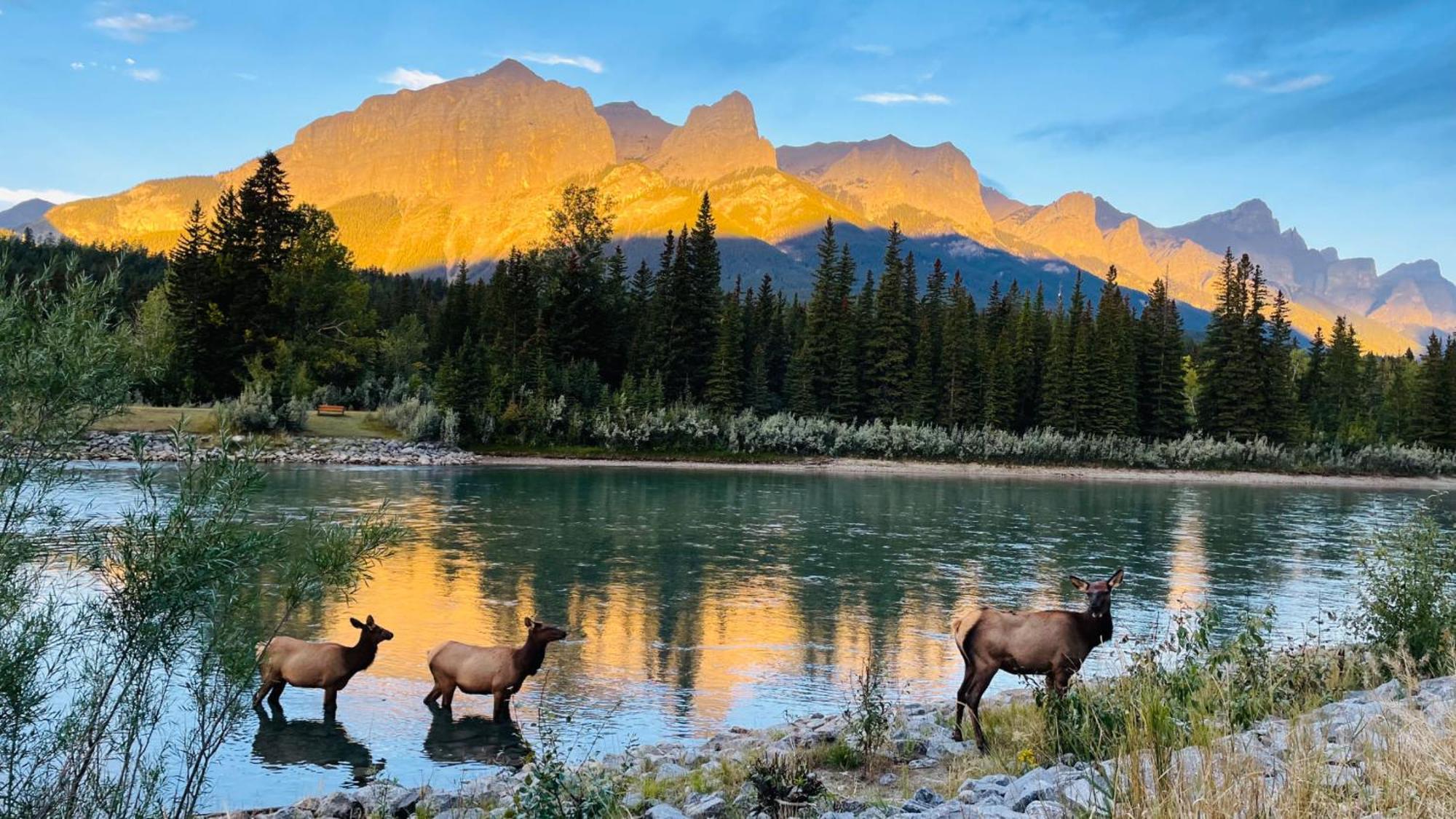 Apartamento Unit #302 Mountain View 2 Beds In Dt Canmore Exterior foto
